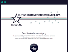 Tablet Screenshot of hstar.nl